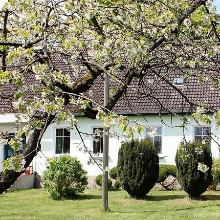 Pension Gestuet Lindenhof Templin Εξωτερικό φωτογραφία