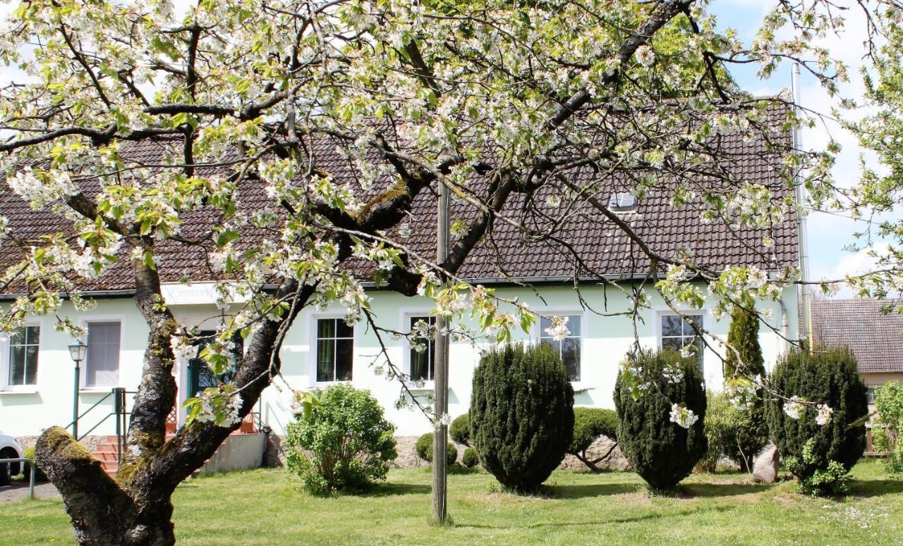 Pension Gestuet Lindenhof Templin Εξωτερικό φωτογραφία