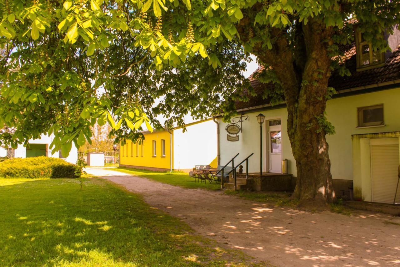 Pension Gestuet Lindenhof Templin Εξωτερικό φωτογραφία